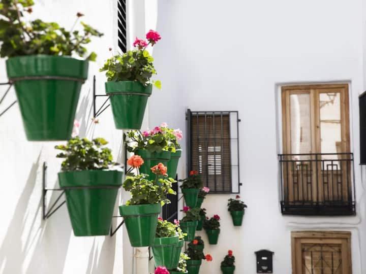 Apartamento En El Corazon De Las Alpujarras Carataunas Exteriör bild